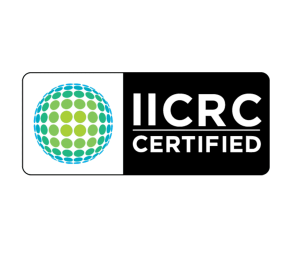 iicrc certified couch cleaning brisbane
